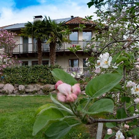Ansitz Waldner Oberwirt Apartamento Marlengo Exterior foto